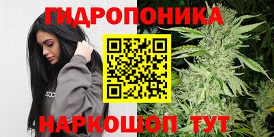МДПВ Тара