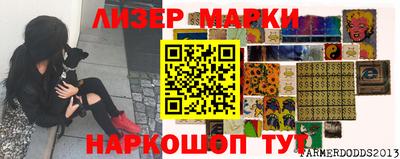 индика Дубна