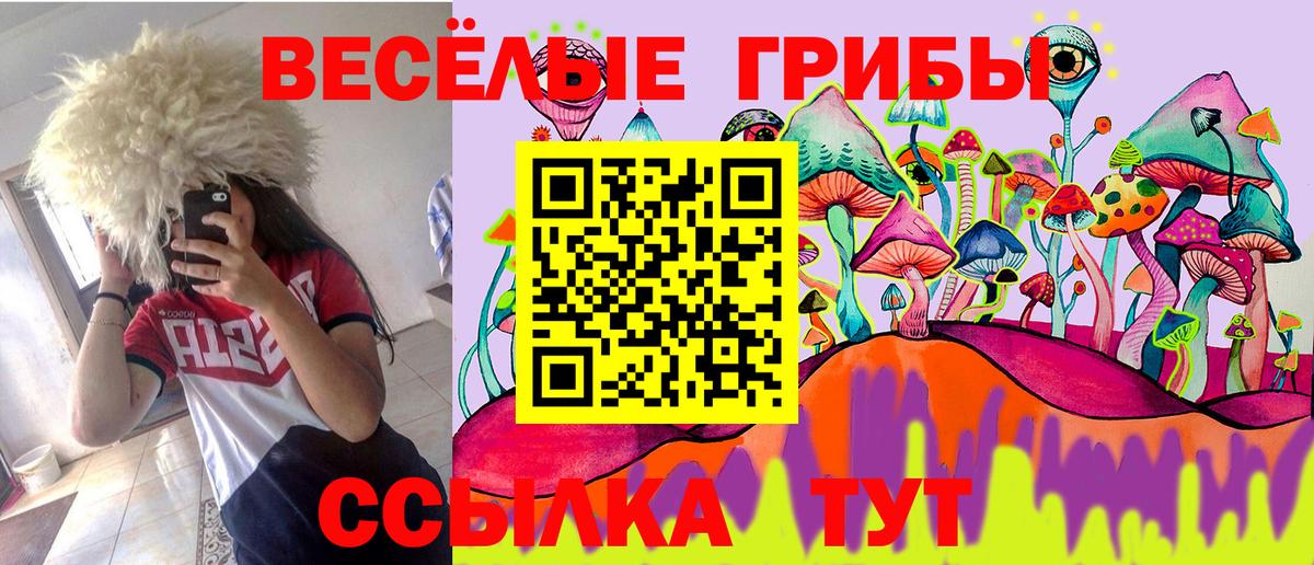 Можайск  Галлюциногенные грибы GOLDEN TEACHER  Вход с VPN 