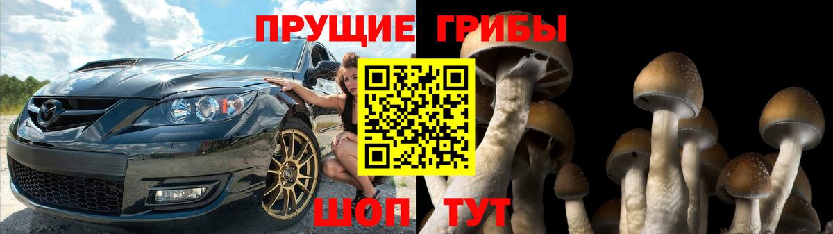 Галлюциногенные грибы прущие грибы Можайск